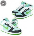 /album/nike-6-0/images-5-jpg1/